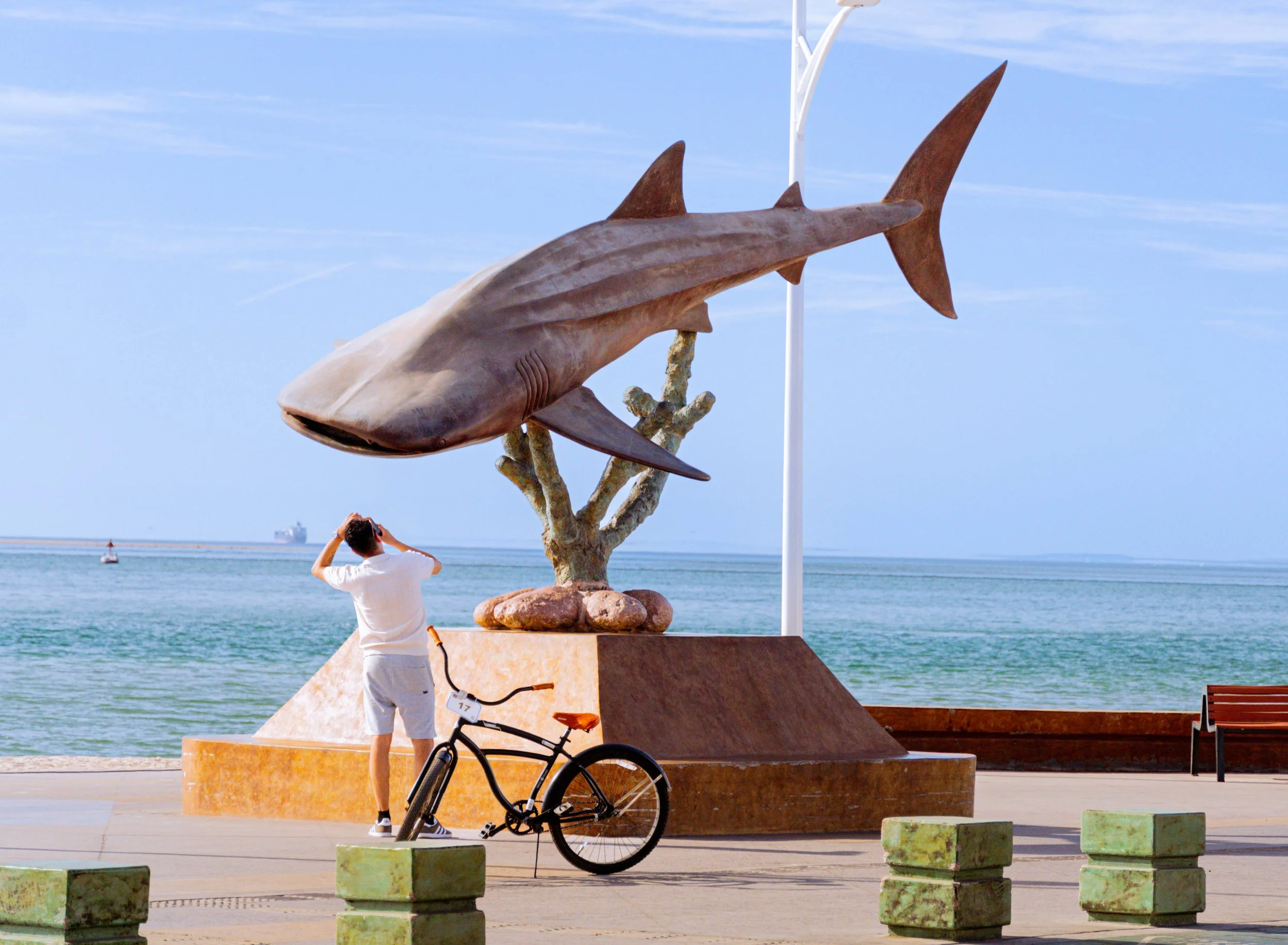 La Paz Tour | Discover & Book Now — Alpha Tours Los Cabos